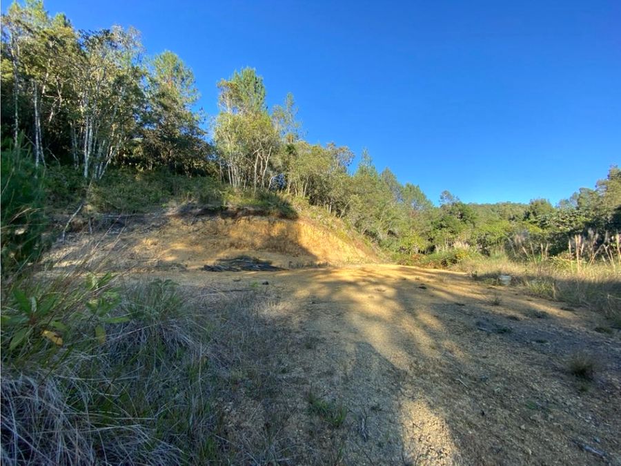 Residential Lot for Sale in Altos del Escobero